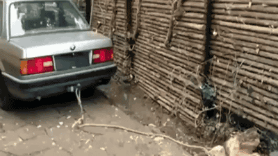 0b2601e21140a2e9b6daca40b19d744b.gif