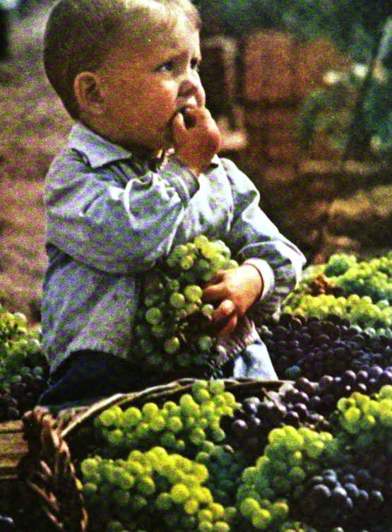 Прекрасные фотографии Советской Украины 1950-1961 годов Огонек, ссср, украина height=753