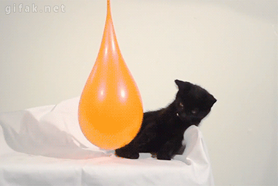 cb0ab411fe04e5b7742158319760ad8b.gif