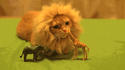 963ef5a2168fa33e011e69b2b1d3699b.gif
