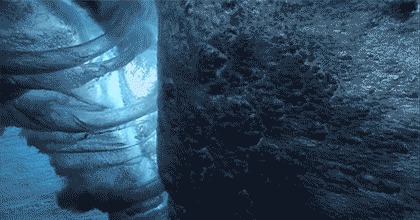 �����, ����, �����������