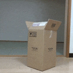 2c57313f-dc27-42fc-bc6b-776e8b7cd861.gif