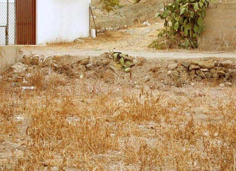 Camuflados 014