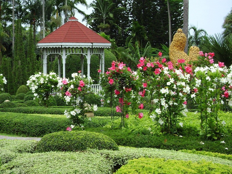 . (Nong Nooch Tropical Garden) . (Nong Nooch Tropical Garden) , , , , , ,