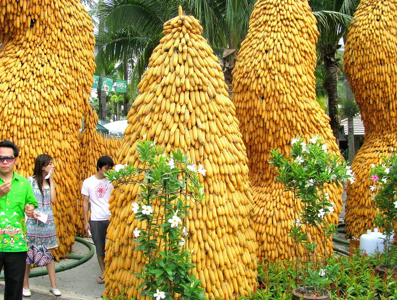 . (Nong Nooch Tropical Garden) . (Nong Nooch Tropical Garden) , , , , , ,