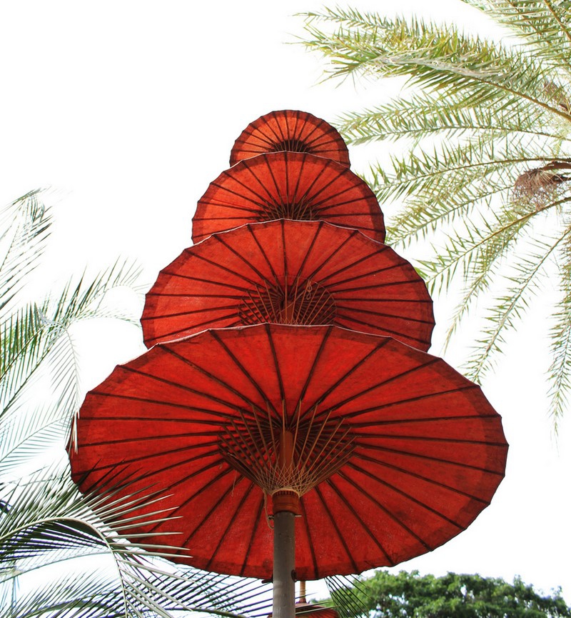 . (Nong Nooch Tropical Garden) . (Nong Nooch Tropical Garden) , , , , , ,