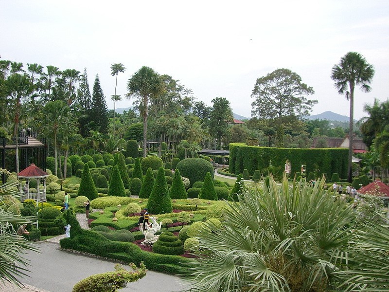. (Nong Nooch Tropical Garden) . (Nong Nooch Tropical Garden) , , , , , ,