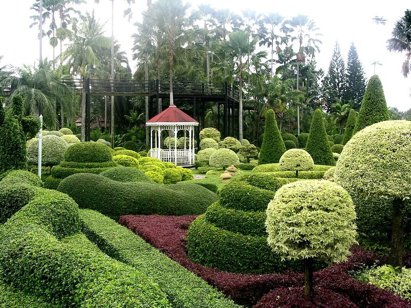 . (Nong Nooch Tropical Garden) . (Nong Nooch Tropical Garden) , , , , , ,