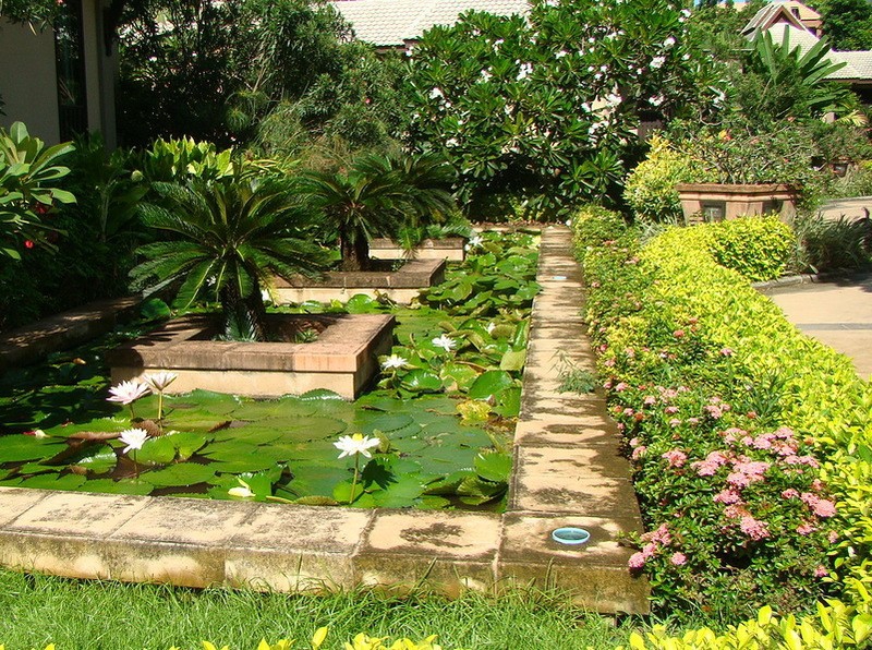 . (Nong Nooch Tropical Garden) . (Nong Nooch Tropical Garden) , , , , , ,