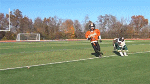 живность, фото, позитив