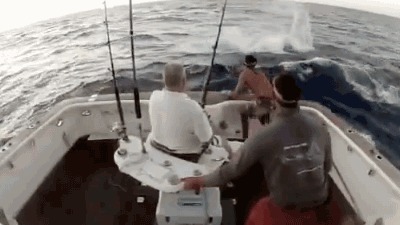gif, �����