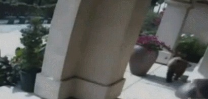 �������, �����