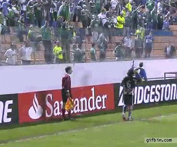 ��������, ���-��������, �����, ����������