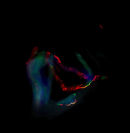 gif, 3d, animation
