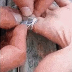 юмор, гифки