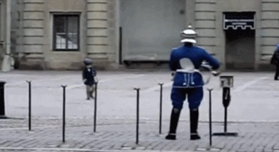 Гифки gif, анимация