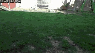 анимация, gif