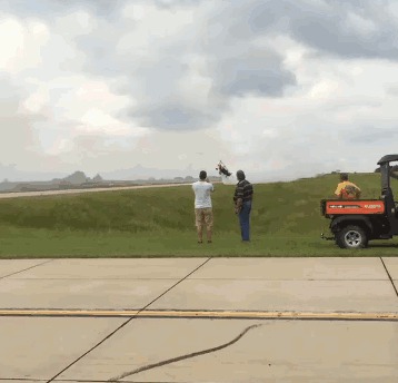 анимация, gif