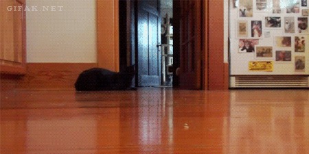 Гифки gif, анимация