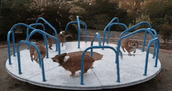 Гифки gif, анимация