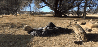9137518620d9689424b3811fc3ae2166.gif
