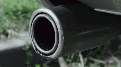 1055422_original.gif