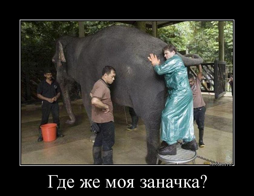 hotdem_ru_475278331688756516226.jpg