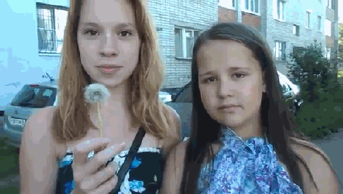 анимация, юмор, гифки