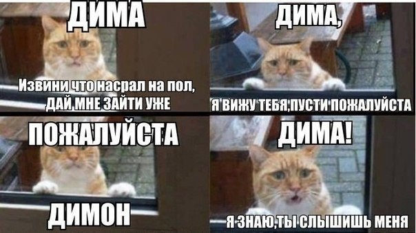 Имя дима шутки / смешные картинки и другие приколы: комиксы Смешные стихи про имя Дима Шмяндекс. ру