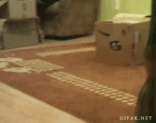 хозяин, животные, идиот