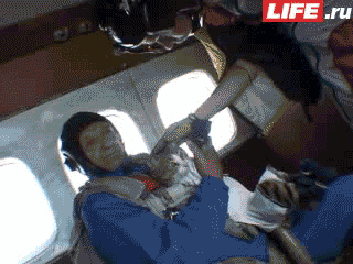 хозяин, животные, идиот