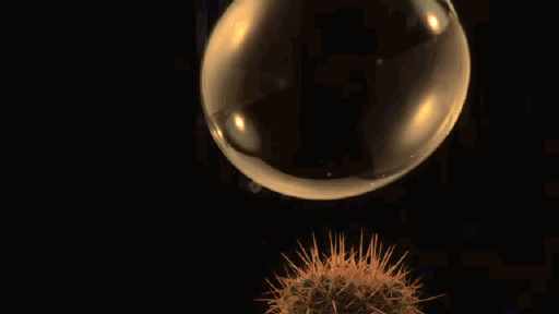 http://s.fishki.net/upload/post/201410/02/1310538/gallery/2725700e1cae06188acbdc5d599798d5.gif
