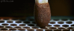 http://s.fishki.net/upload/post/201410/02/1310538/gallery/d1fcd737f7ce12ce721d331a77b092de.gif