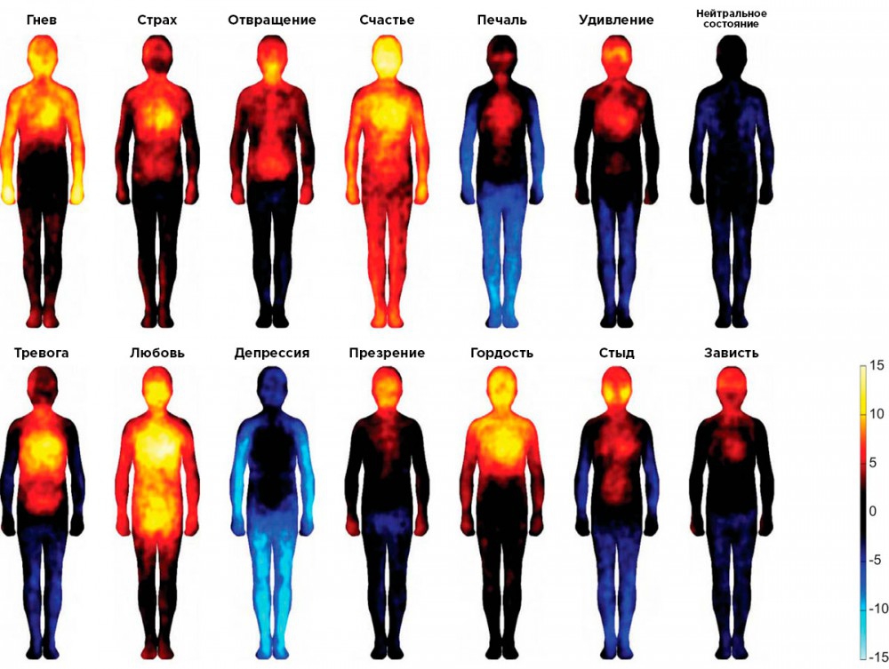 Карта тела: какими своими частями человек чувствует счастье и стыд интересное, полезное, про тело
