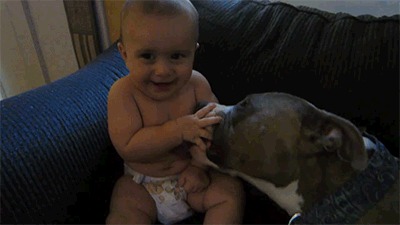 �������, �������, ������
