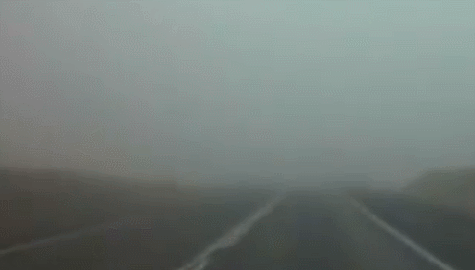 003.gif