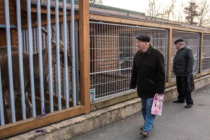 fosta resedinta a lui victor ianukovici