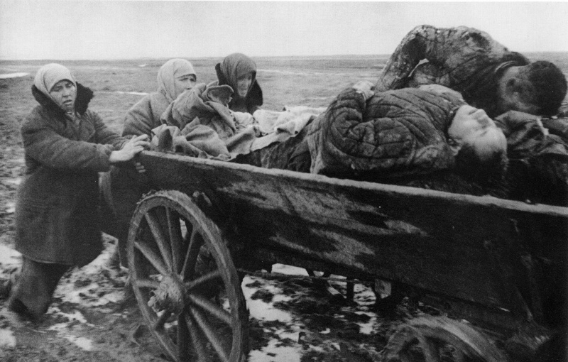 Хроники ВОВ в фотографиях ВОВ 1941-1945, вторая мировая война., вов
