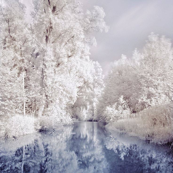 Фотоподборка за 24.11.2014 фото, интересное