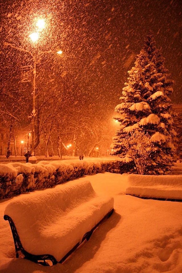 Фотоподборка за 26.11.2014 интересное, фото