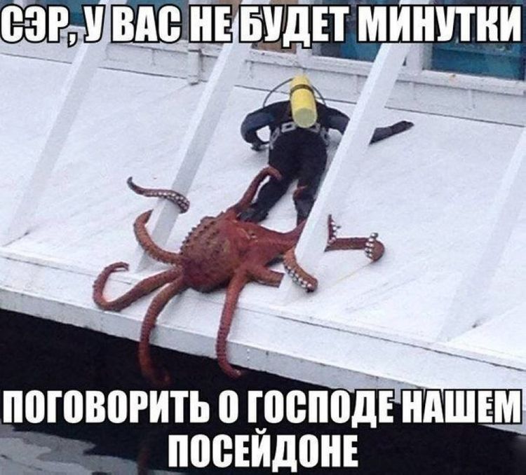 1434641524-010cc372e1f623c3fb3b8c09824bf384.jpeg