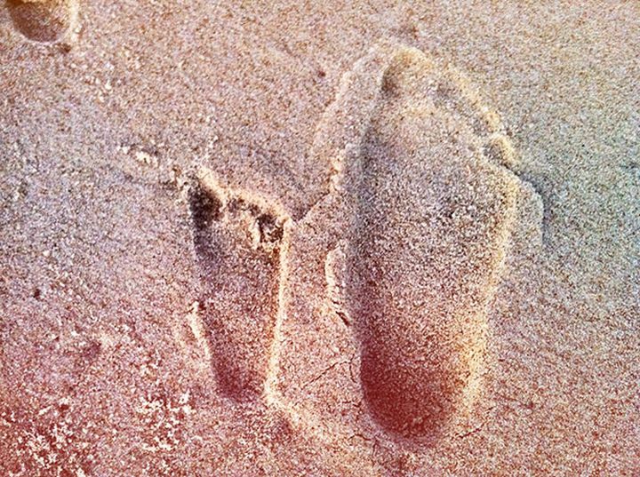 За что мы любим пап? За что мы любим пап? любовь, папа, родители