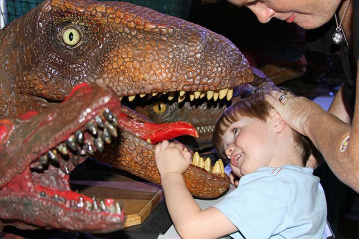 За что мы любим пап? За что мы любим пап? любовь, папа, родители