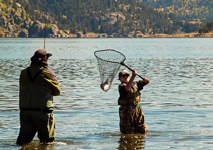 За что мы любим пап? За что мы любим пап? любовь, папа, родители