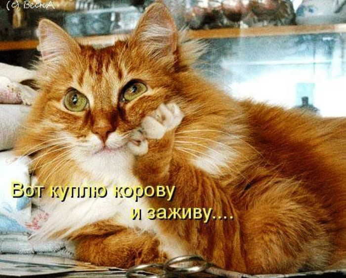 Открытки думаю Открытки думаю