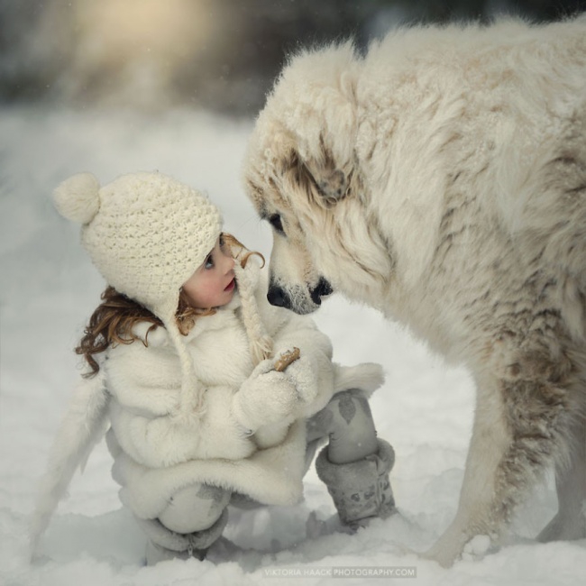 http://s.fishki.net/upload/post/201412/02/1339454/10379010-r3l8t8d-650-small-babies-children-big-dogs-61__880.jpg