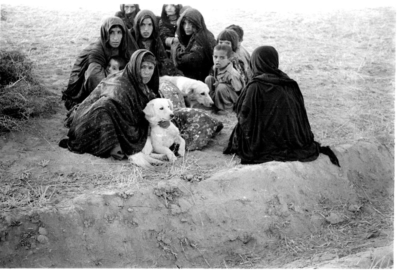 Фотографии из Афгана. 1983 год. Автор Николай Прокопчук People Are Awesome, fun