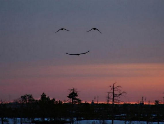 25 гениальных фотографий, которые заставляют нас улыбаться солянка юмор фишка, фото