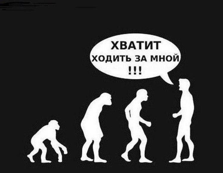 Эволюция – это теория заблуждения, мифы