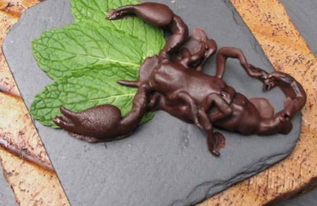 Протеиновый десерт на любителя насекомые, шоколад